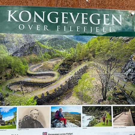 Mjosvang Kafe Vang I Valdres Extérieur photo